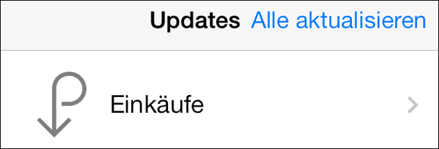 iOS Updates laden