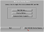 Amiga Early Startup