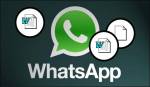 WhatsApp Excel XLS