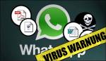 WhatsApp Excel XLS