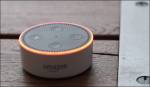 Alexa kein internet