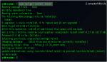 Apt get install telnet