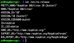 Raspbian version herausfinden