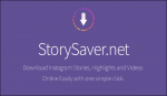 Instagram Story Downloader