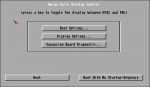 Amiga Display Options: Early Startup Control