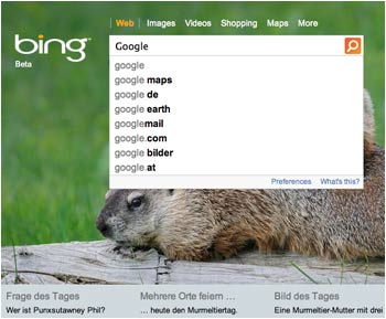 Bing und Google
