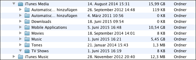 Ordner finden: iTunes media