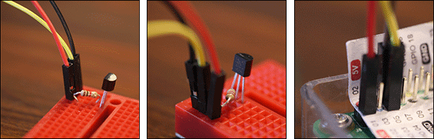 1-Wire Temperatur-Sensor DS18B20 am Raspberry Pi