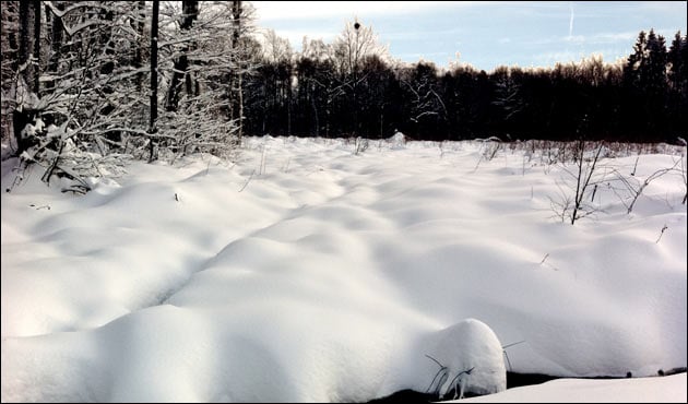 Schneewarnung FHEM