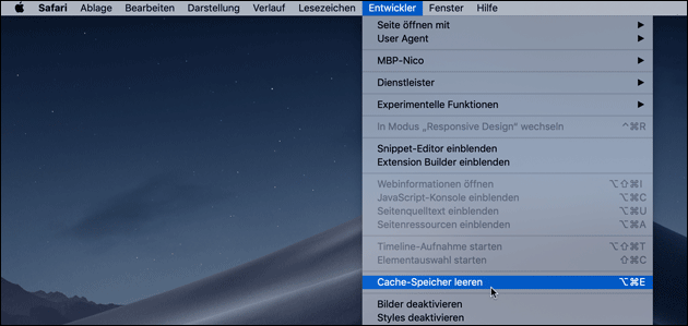 Safari Cache leeren: Entwickler Menü