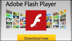 Dringendes Update für Flash Player!