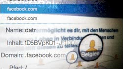 Der Facebook-Cookie soll täglich 250.000 EUR kosten!