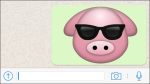 Wegen Schweine-Emoji vor Gericht!