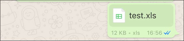 WhatsApp Excel XLS