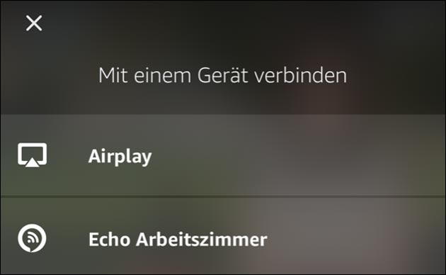 Echo Cast